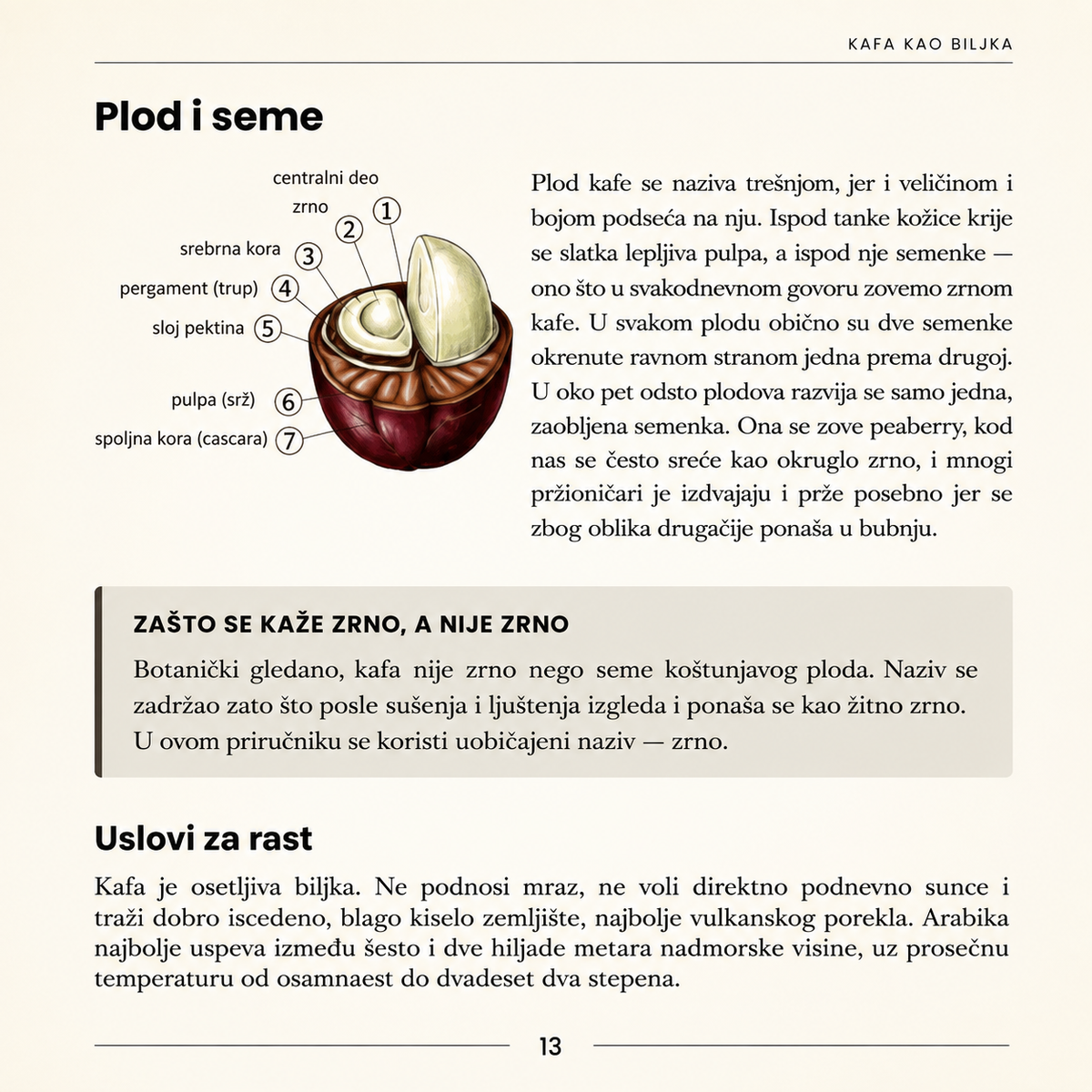 KAFA – Priručnik za ljubitelje kafe
